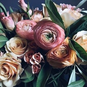 Meet your Posher, Anne